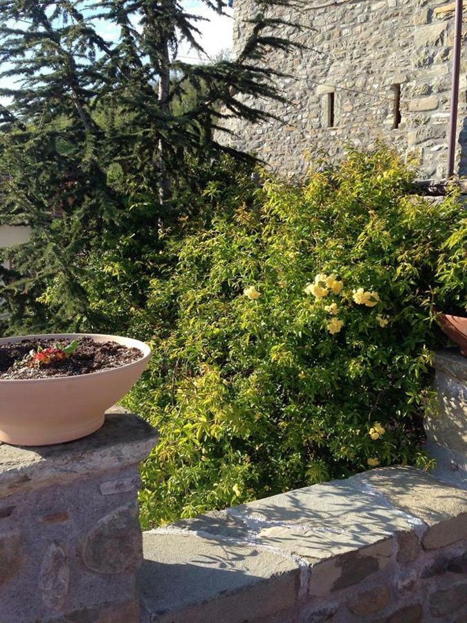 Mini Appartamenti Nonna Nella Barbarasco Eksteriør bilde